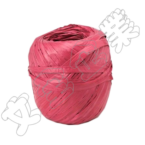 紅色塑膠繩/包裝繩/綑綁繩